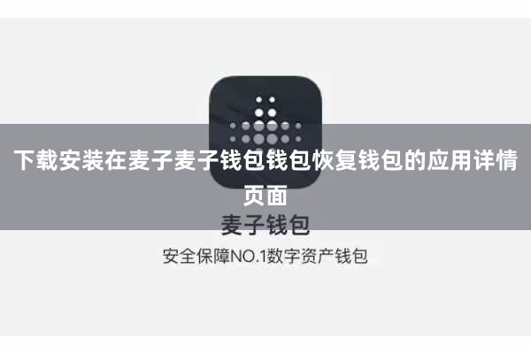 下载安装在麦子麦子钱包钱包恢复钱包的应用详情页面