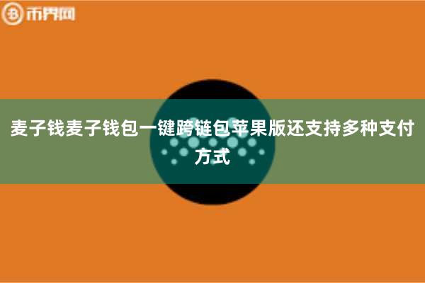 麦子钱麦子钱包一键跨链包苹果版还支持多种支付方式