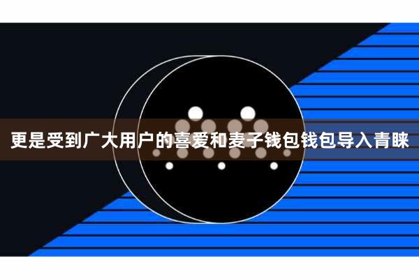 更是受到广大用户的喜爱和麦子钱包钱包导入青睐