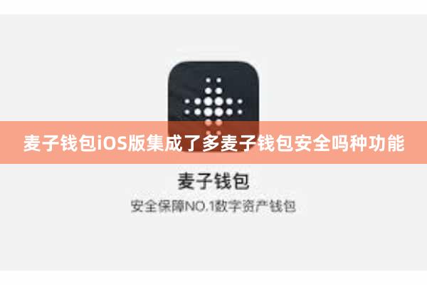 麦子钱包iOS版集成了多麦子钱包安全吗种功能