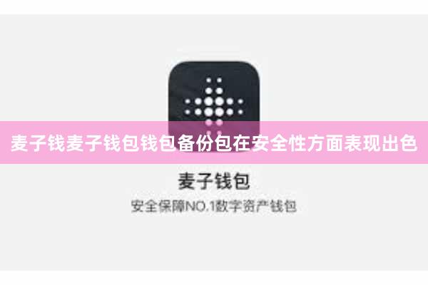 麦子钱麦子钱包钱包备份包在安全性方面表现出色