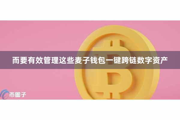 而要有效管理这些麦子钱包一键跨链数字资产