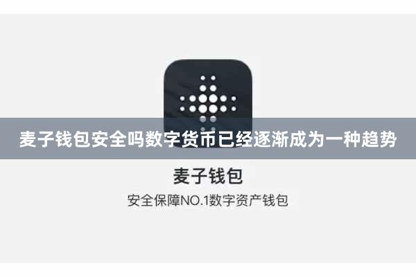 麦子钱包安全吗数字货币已经逐渐成为一种趋势
