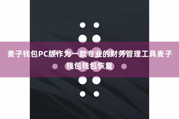 麦子钱包PC版作为一款专业的财务管理工具麦子钱包钱包恢复