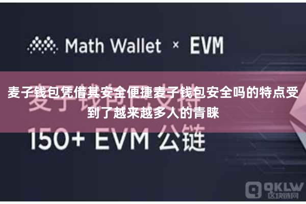 麦子钱包凭借其安全便捷麦子钱包安全吗的特点受到了越来越多人的青睐