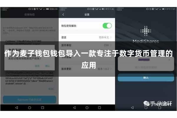 作为麦子钱包钱包导入一款专注于数字货币管理的应用