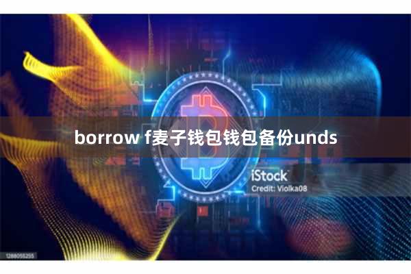 borrow f麦子钱包钱包备份unds