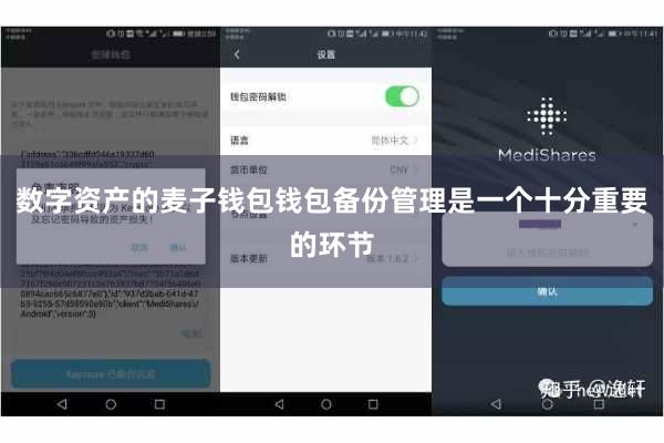 数字资产的麦子钱包钱包备份管理是一个十分重要的环节