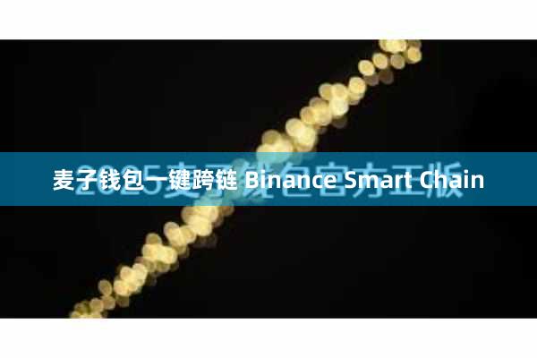 麦子钱包一键跨链 Binance Smart Chain