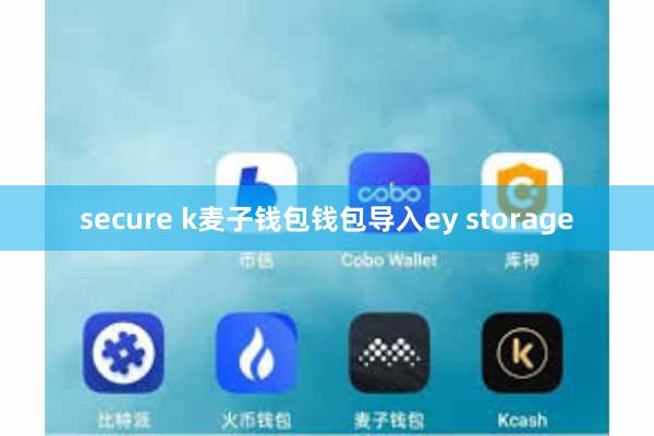 secure k麦子钱包钱包导入ey storage