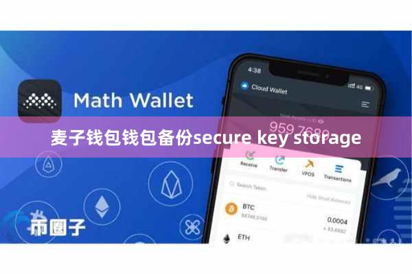 麦子钱包钱包备份secure key storage