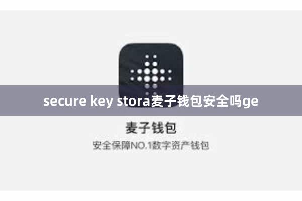 secure key stora麦子钱包安全吗ge