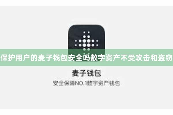 保护用户的麦子钱包安全吗数字资产不受攻击和盗窃