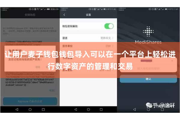 让用户麦子钱包钱包导入可以在一个平台上轻松进行数字资产的管理和交易
