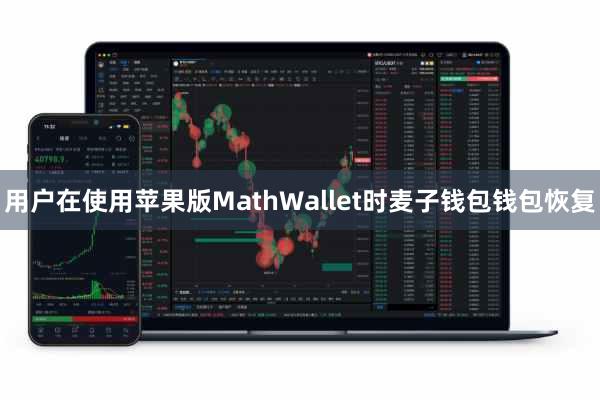 用户在使用苹果版MathWallet时麦子钱包钱包恢复