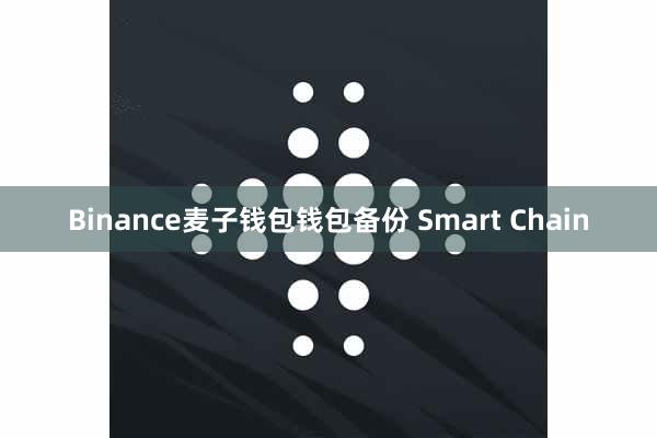Binance麦子钱包钱包备份 Smart Chain