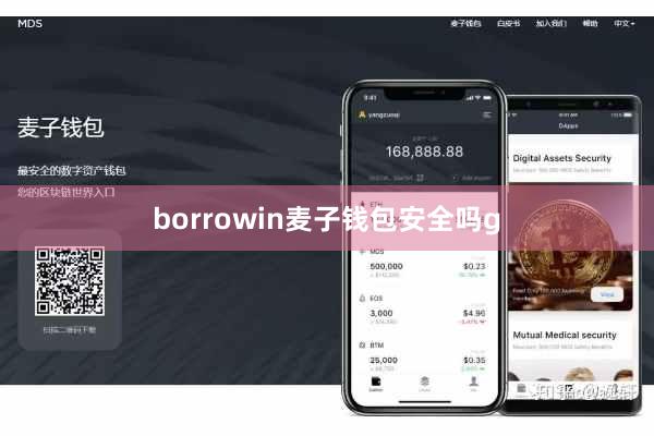 borrowin麦子钱包安全吗g