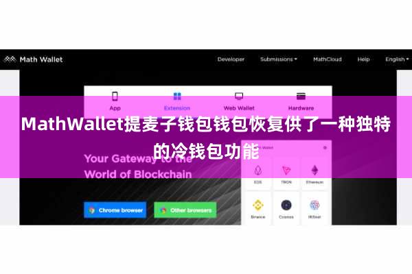 MathWallet提麦子钱包钱包恢复供了一种独特的冷钱包功能