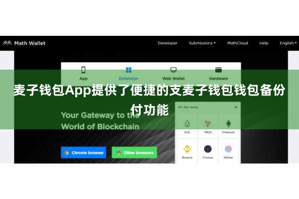 麦子钱包App提供了便捷的支麦子钱包钱包备份付功能