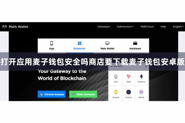 打开应用麦子钱包安全吗商店要下载麦子钱包安卓版