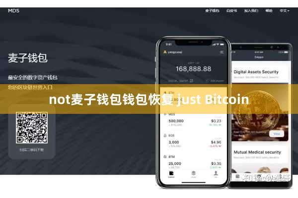 not麦子钱包钱包恢复 just Bitcoin