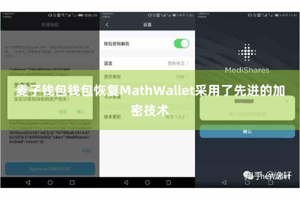 麦子钱包钱包恢复MathWallet采用了先进的加密技术